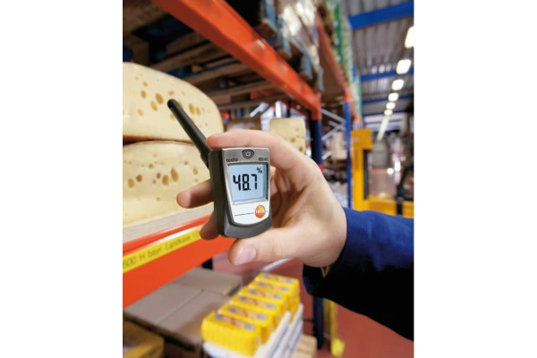 Гигрометр Testo 605-H1 0560 6053 в Уфе