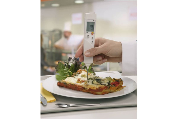 Термометр Testo 106 0560 1063 в Уфе